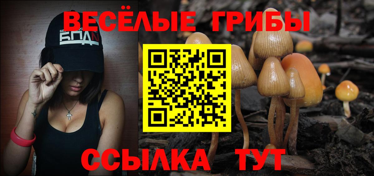 Псилоцибиновые грибы мухоморы  Вход с VPN  Острогожск 